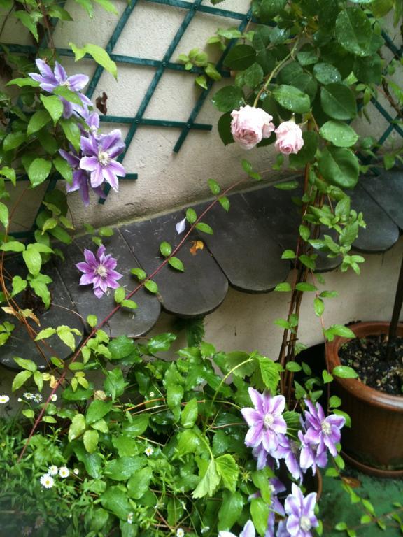 Les Serruriers - Appartement Spacieux Avec Terrasse & Parking ストラスブール 部屋 写真